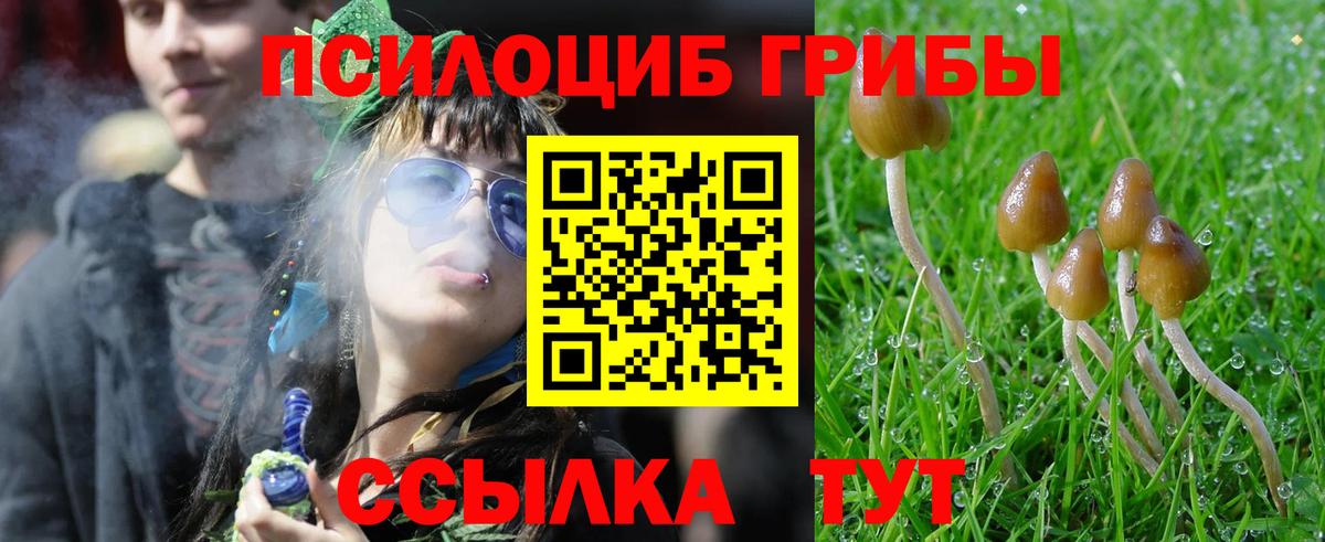 Галлюциногенные грибы ЛСД Борисоглебск