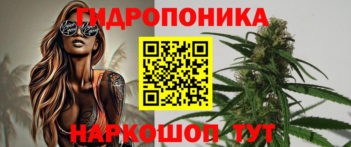 Канабис конопля Борисоглебск